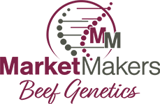 Market Makers Beef Genetics